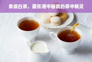 娄底白茶，藏在湘中秘境的茶中精灵