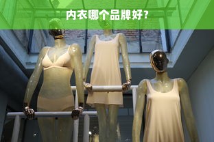 内衣哪个品牌好？