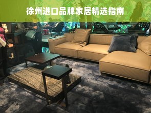徐州进口品牌家居精选指南