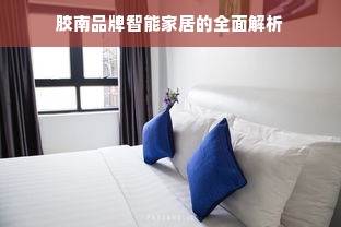 胶南品牌智能家居的全面解析