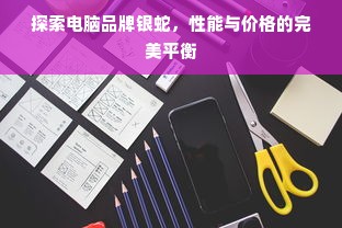 探索电脑品牌银蛇，性能与价格的完美平衡