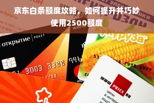 京东白条额度攻略，如何提升并巧妙使用2500额度