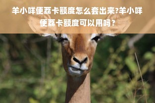 羊小咩便荔卡额度怎么套出来?羊小咩便荔卡额度可以用吗？