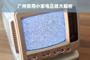 广州常用小家电品牌大解析