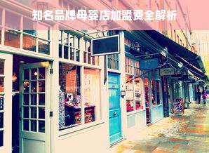知名品牌母婴店加盟费全解析