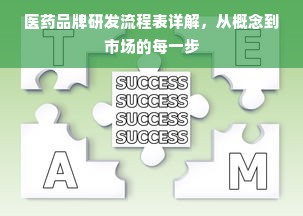 医药品牌研发流程表详解，从概念到市场的每一步