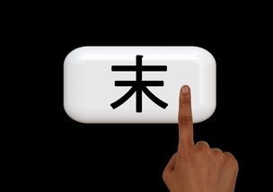 掌握电脑BIOS，品牌电脑的心脏