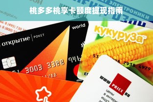 桃多多桃享卡额度提现指南