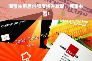 羊小咩便荔卡额度怎么套出来？羊小咩便荔卡低额度怎么还款？