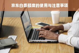 京东白条额度的使用与注意事项