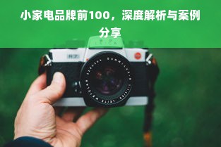 小家电品牌前100，深度解析与案例分享