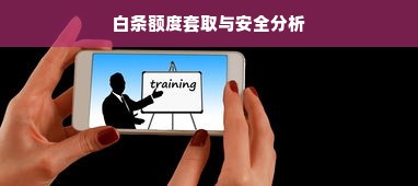 白条额度套取与安全分析