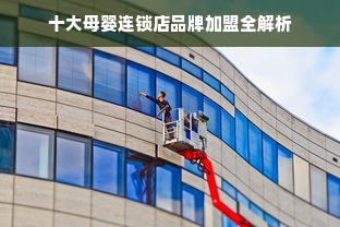 十大母婴连锁店品牌加盟全解析
