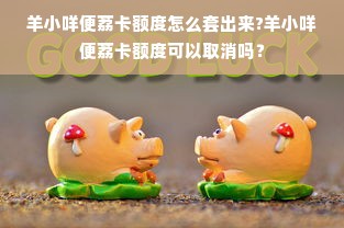 羊小咩便荔卡额度怎么套出来?羊小咩便荔卡额度可以取消吗？