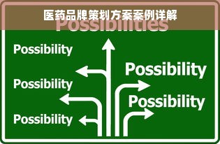医药品牌策划方案案例详解