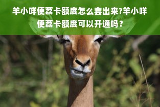 羊小咩便荔卡额度怎么套出来?羊小咩便荔卡额度可以开通吗？