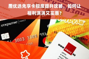 鹿优选先享卡额度提升攻略，如何让福利满满又实惠？