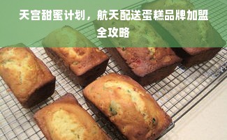 天宫甜蜜计划，航天配送蛋糕品牌加盟全攻略