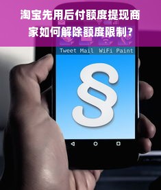 京东白条额度如何套出来商家,在哪看京东白条的额度