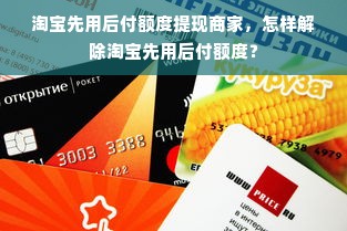 羊小咩便荔卡额度如何套现？羊小咩便荔卡额度有效期是多久？