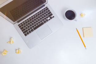 京东白条额度攻略，如何提升额度及一元额度使用指南