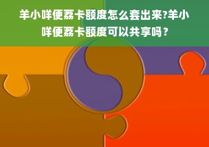 羊小咩便荔卡额度怎么套出来?羊小咩便荔卡额度可以共享吗？