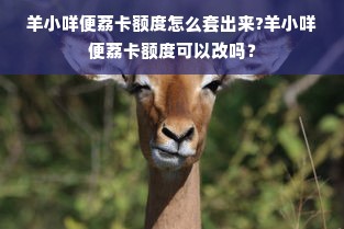 羊小咩便荔卡额度怎么套出来?羊小咩便荔卡额度可以改吗？