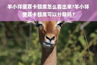 羊小咩便荔卡额度怎么套出来?羊小咩便荔卡额度可以分期吗？