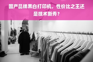 国产品牌黑白打印机，性价比之王还是技术新秀？