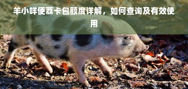 羊小咩便荔卡包额度详解，如何查询及有效使用