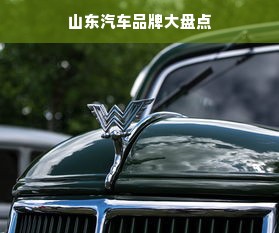 山东汽车品牌大盘点