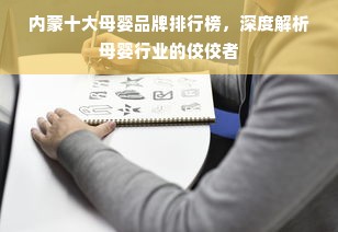 内蒙十大母婴品牌排行榜，深度解析母婴行业的佼佼者
