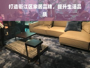 打造衢江区家居品牌，提升生活品质