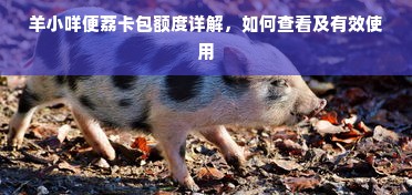 羊小咩便荔卡包额度详解，如何查看及有效使用
