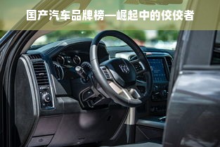 国产汽车品牌榜—崛起中的佼佼者