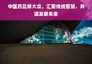 中医药品牌大会，汇聚传统智慧，共谋发展未来