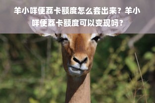 羊小咩便荔卡额度怎么套出来？羊小咩便荔卡额度可以变现吗？