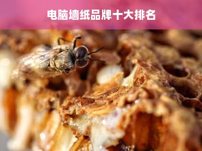 电脑墙纸品牌十大排名