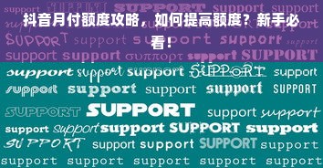 抖音月付额度攻略，如何提高额度？新手必看！