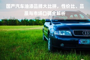 国产汽车油漆品牌大比拼，性价比、品质与市场口碑全解析