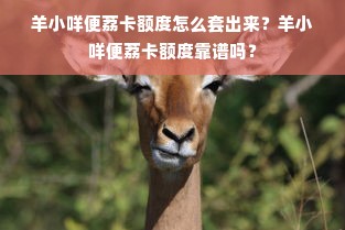 羊小咩便荔卡额度怎么套出来？羊小咩便荔卡额度靠谱吗？
