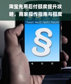 淘宝先用后付额度提升攻略，商家操作指南与额度调整技巧