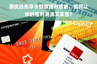 鹿优选先享卡额度提升攻略，如何让你的福利满满又实惠？