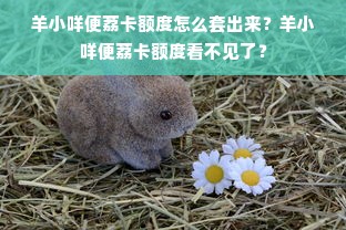 羊小咩便荔卡额度怎么套出来？羊小咩便荔卡额度看不见了？