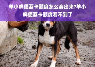 羊小咩便荔卡额度怎么套出来?羊小咩便荔卡额度看不到了