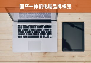 国产一体机电脑品牌概览