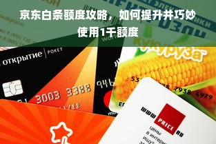 京东白条额度攻略，如何提升并巧妙使用1千额度