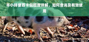 羊小咩便荔卡包额度详解，如何查询及有效使用