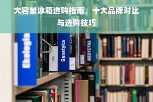 大容量冰箱选购指南，十大品牌对比与选购技巧