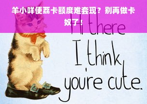 羊小咩便荔卡额度难套现？别再做卡奴了！